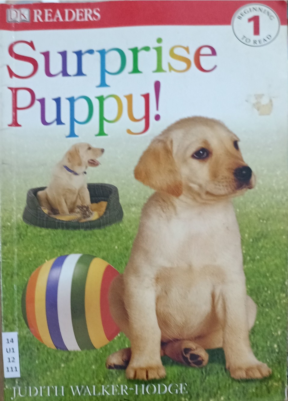 Surprise Puppy! (DK Readers beginning 1)