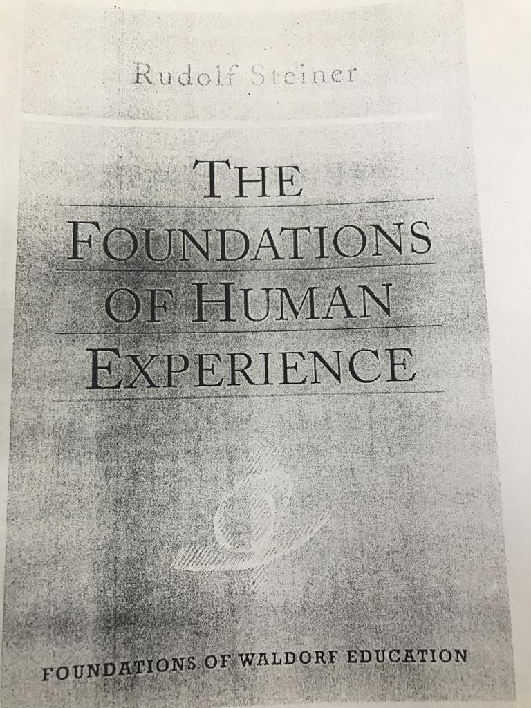 The Foundations Of Human Experience
