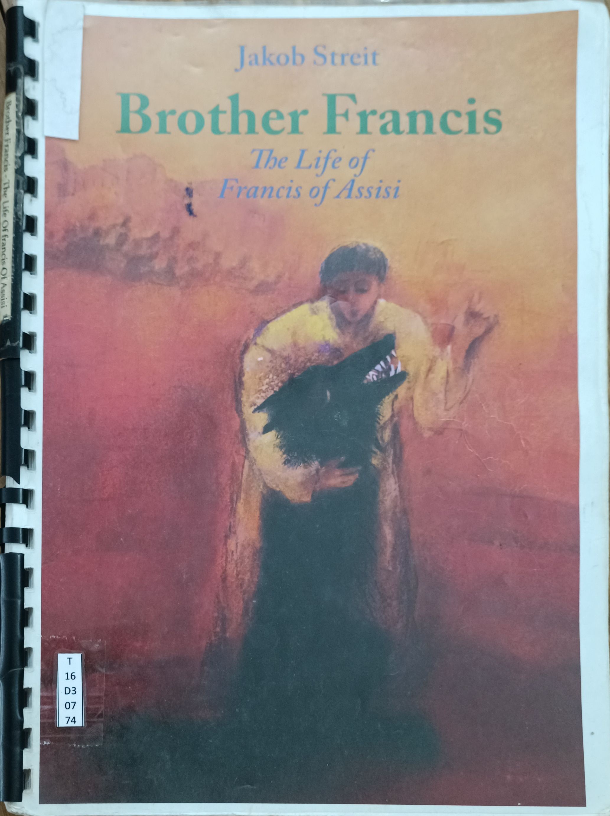 Brother Francis (The Life of Francis of Assisi)