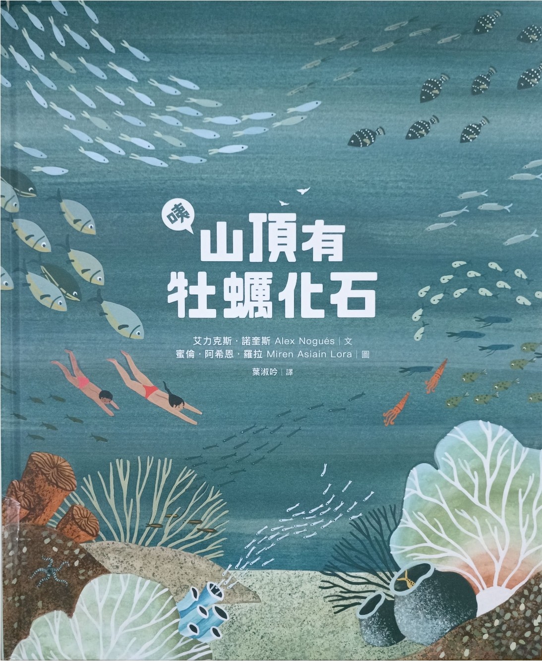 咦山顶有牡蛎化石