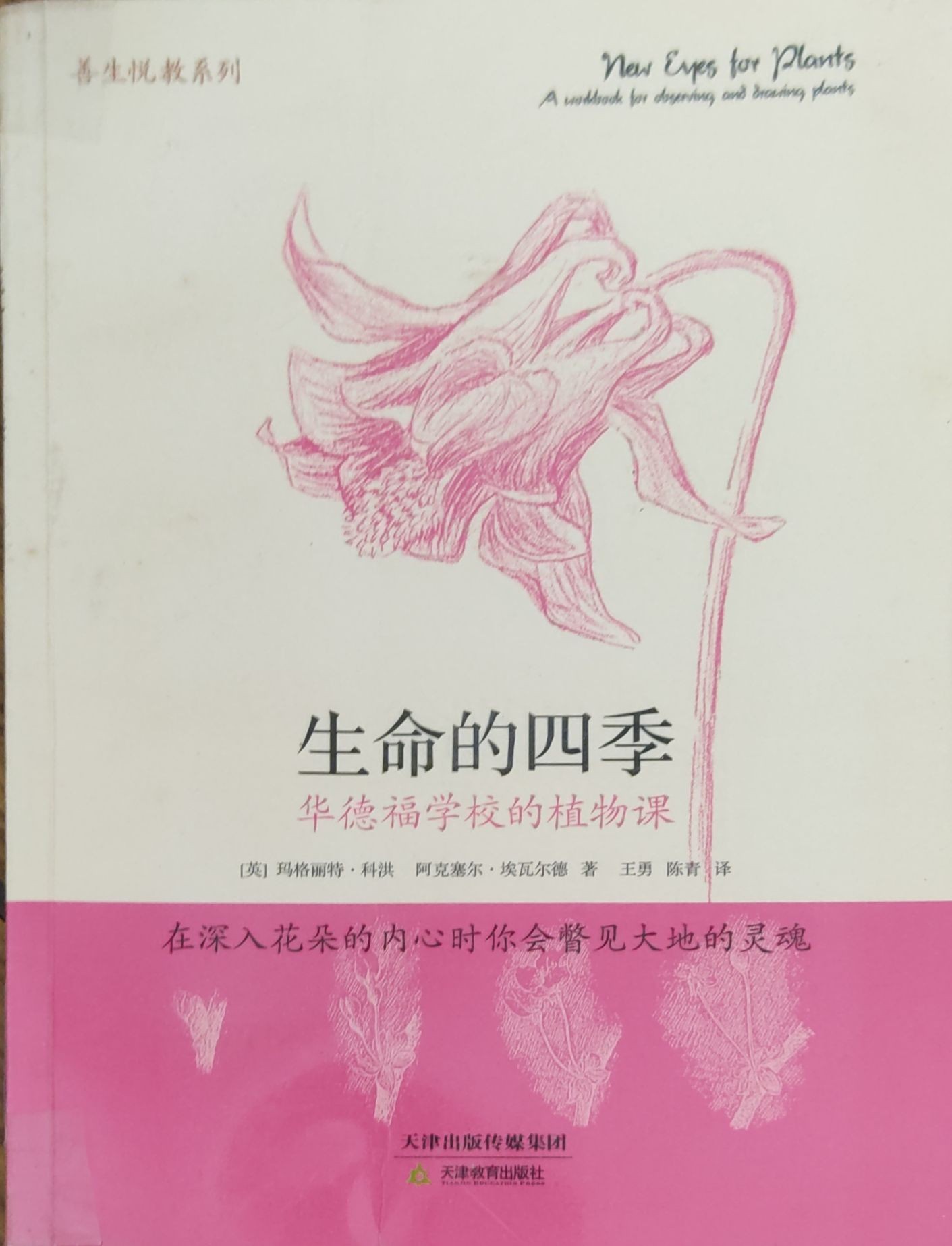 生命的四季：华德福学校的植物课