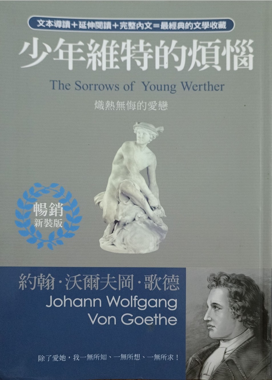 少年维特的烦恼