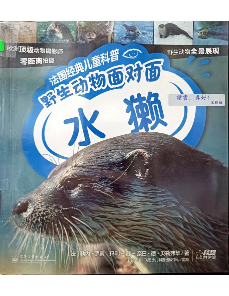 野生动物面对面 - 水獭