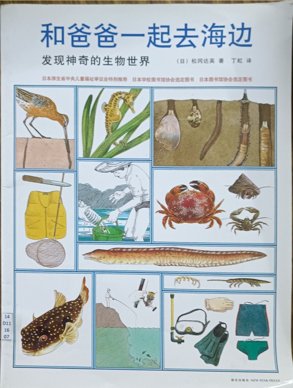 和爸爸一起去海边：发现神奇的生物世界