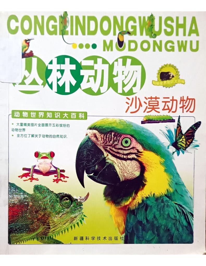 丛林动物 - 沙漠动物