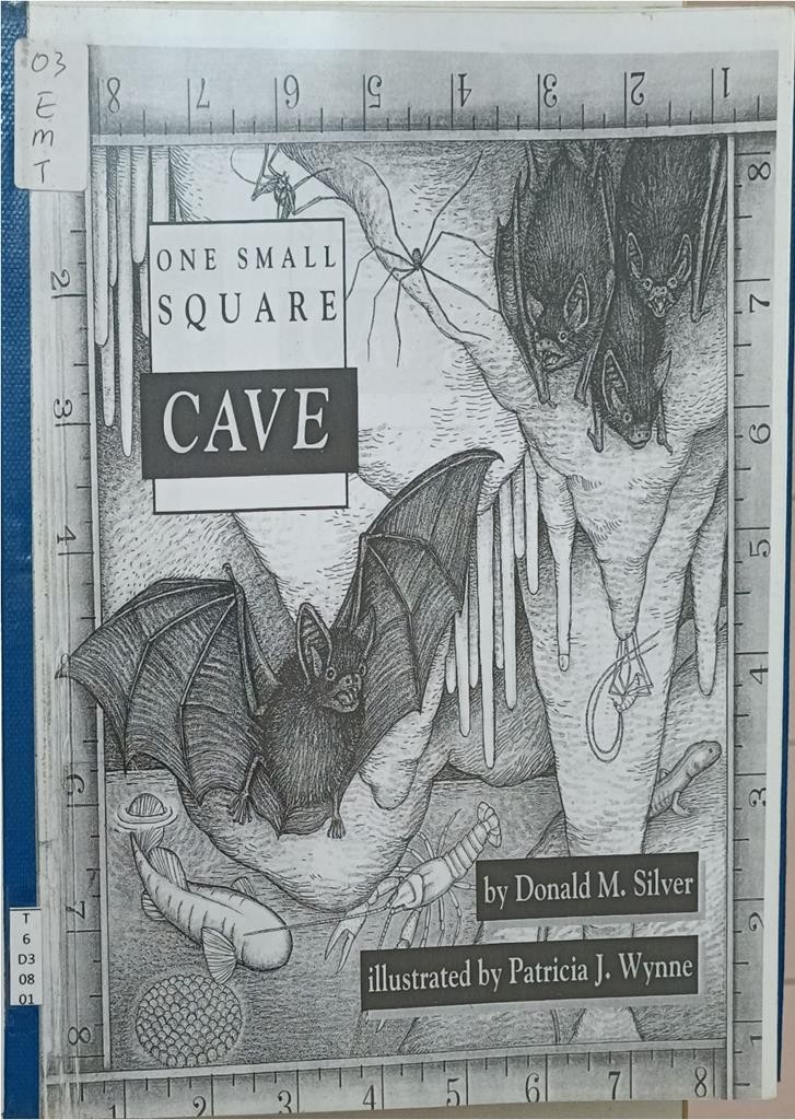 Cave (One Small Square Series)