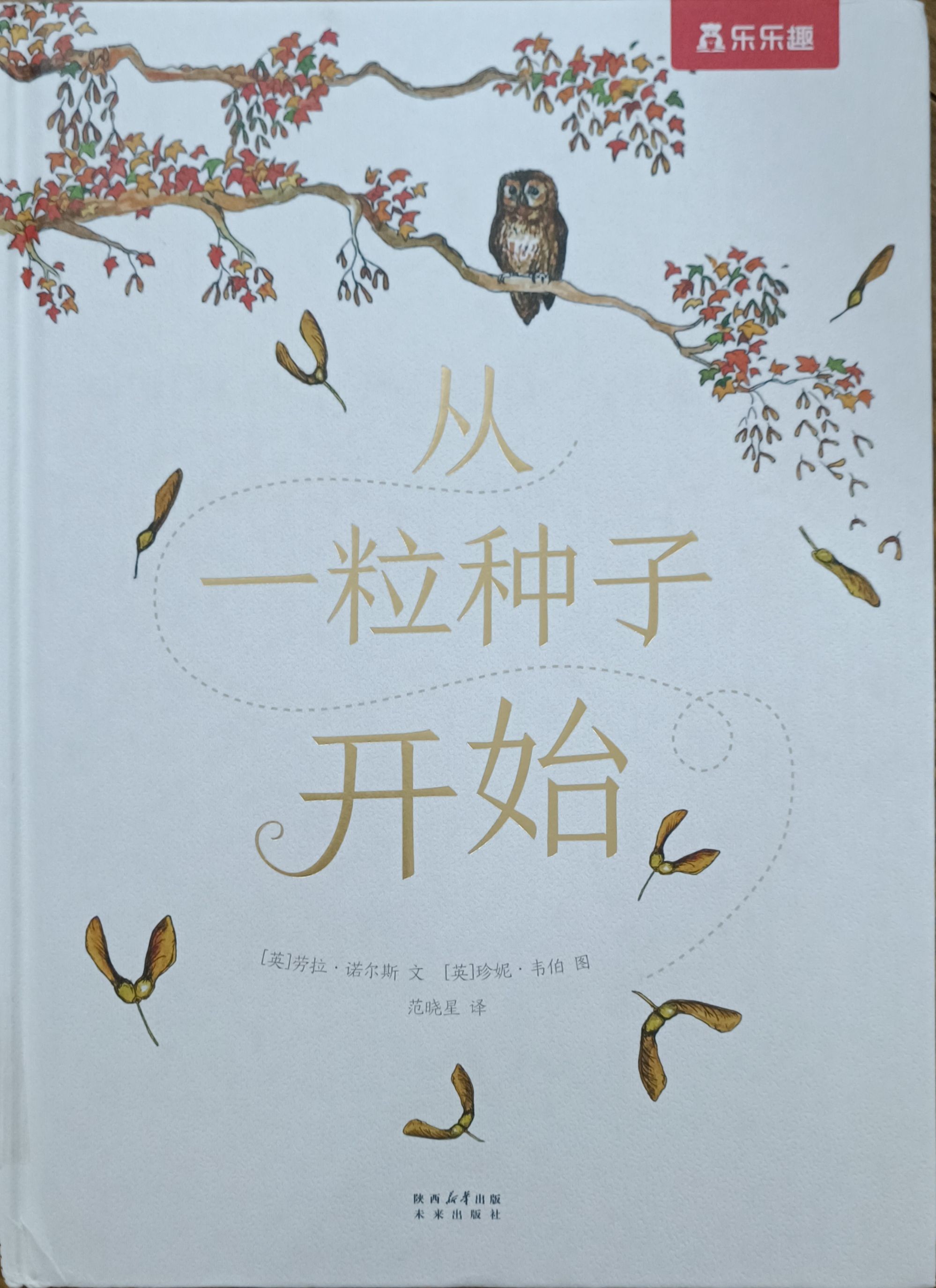 从一粒种子开始