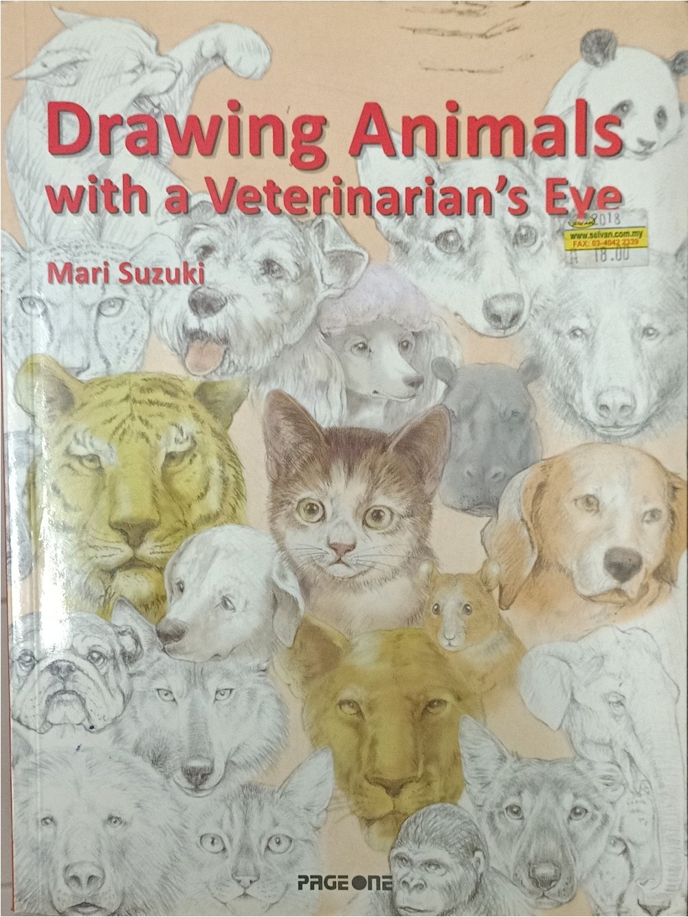 Drawing Animals with a Veterinarian's Eve