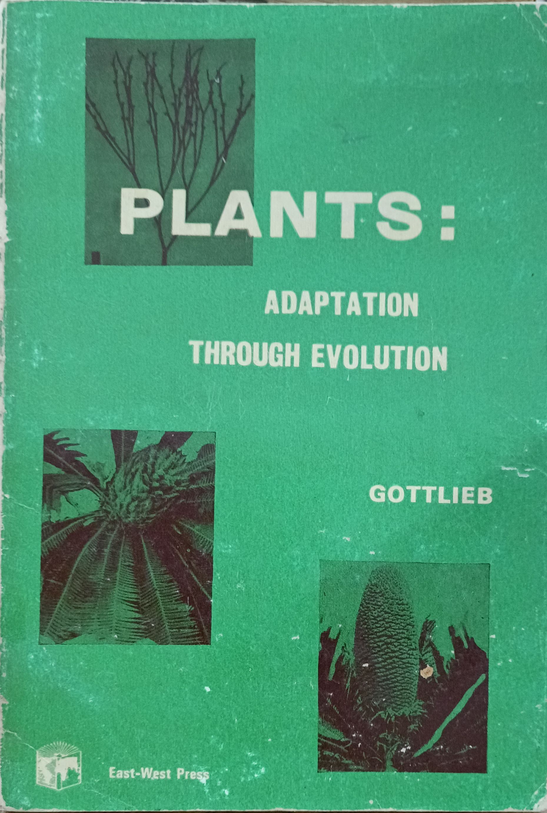 Plants: Adaptation Through Evolution