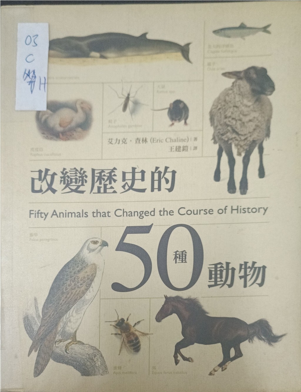 改变历史的50 种动物