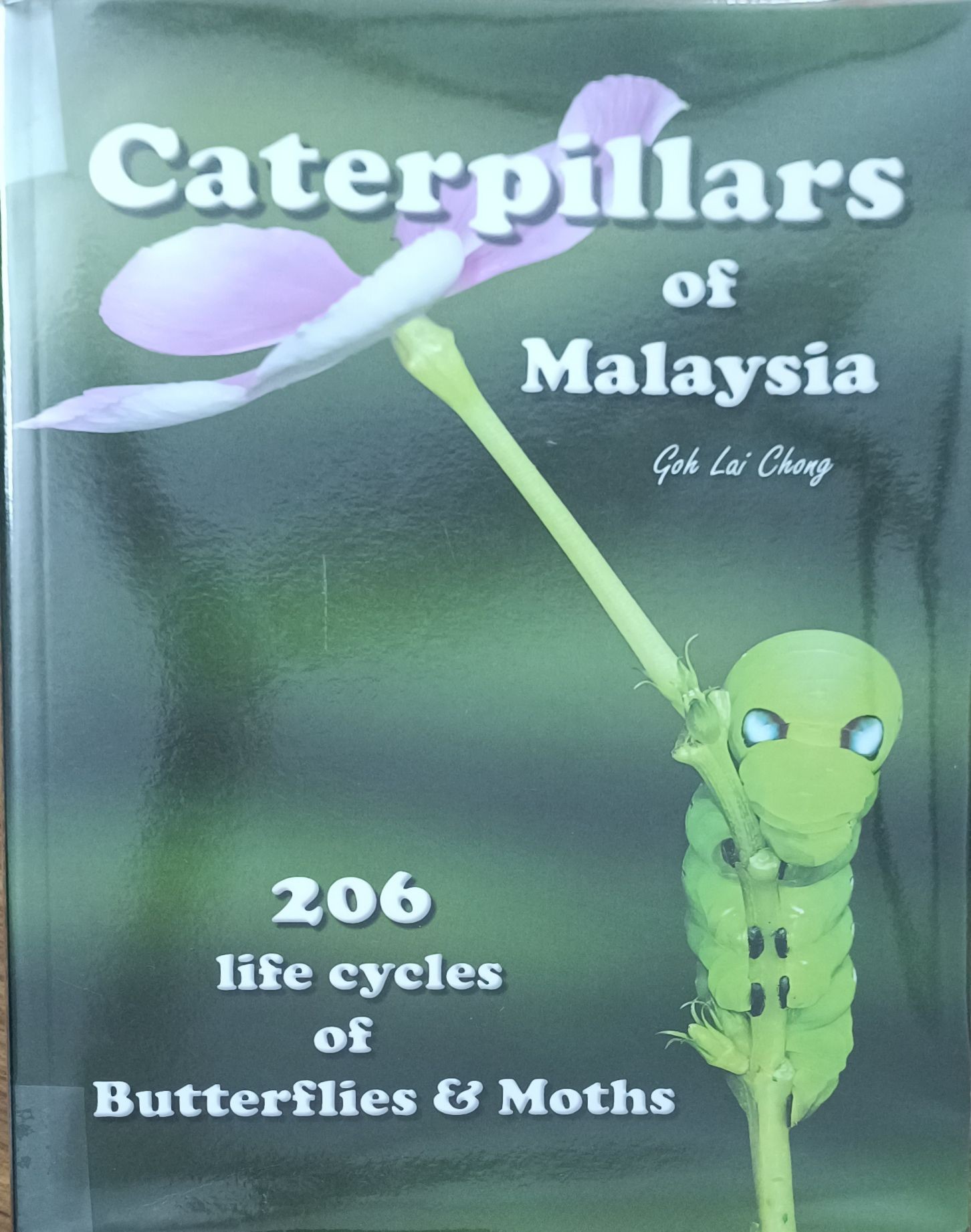 Caterpillars of Malaysia