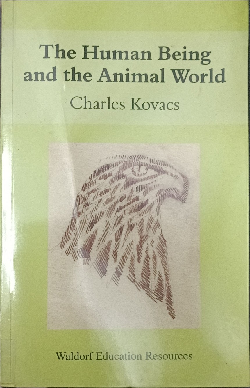 The Human Being and the Animal World